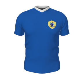 GS Custom Blank Design Pregame V-Neck Mens SS Jersey. (x 1)