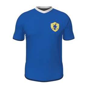 GS Custom Blank Design Pregame Male ShortSleeve V-Neck Jersey. (x 1)