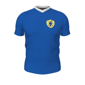 GS Custom Blank Design Pregame V-Neck Mens SS Jersey. (x 1)
