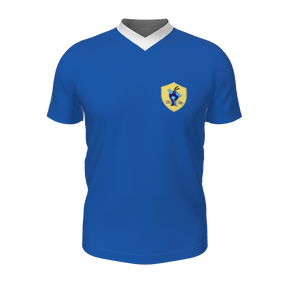 GS Custom Blank Design Esports Premium  Jersey. (x 1)